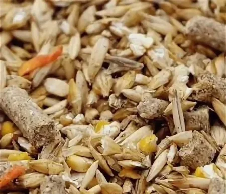 Скачать курс «Структура рациона для кормления сельскохозяйственной птицы» [Елена Конорева] бесплатно