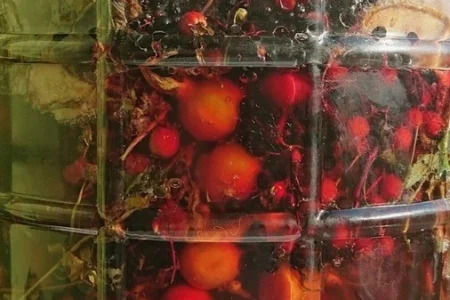 Скачать курс «Творим Сурицу» [Ольга Данилюк] бесплатно